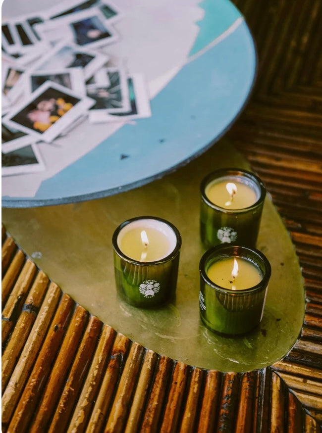 Flamingo Estate Douglas Fir & Ancient Vetiver Candle