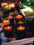 Flamingo Estate Douglas Fir Vetiver Candle